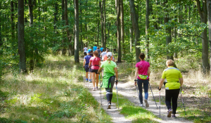 Uczestnicy marszu nordic walking na ścieżce leśnej w Puszczy Zielonka.