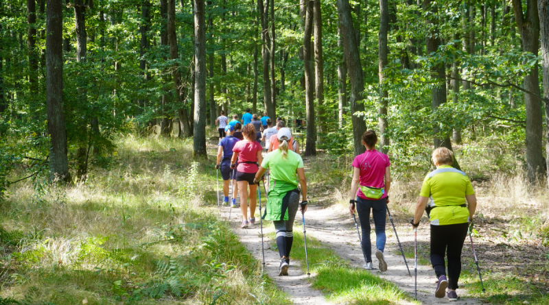 Uczestnicy marszu nordic walking na ścieżce leśnej w Puszczy Zielonka.